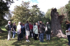 heritage-tree-surveyors-course-sept-2011-022