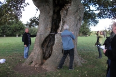 heritage-tree-surveyors-course-sept-2011-024