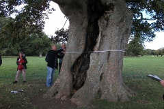 heritage-tree-surveyors-course-sept-2011-025