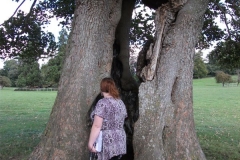 heritage-tree-surveyors-course-sept-2011-026