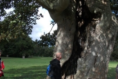 heritage-tree-surveyors-course-sept-2011-027