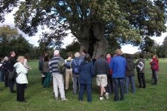 heritage-tree-surveyors-course-sept-2011-028