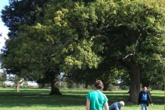 heritage-tree-surveyors-course-sept-2011-036