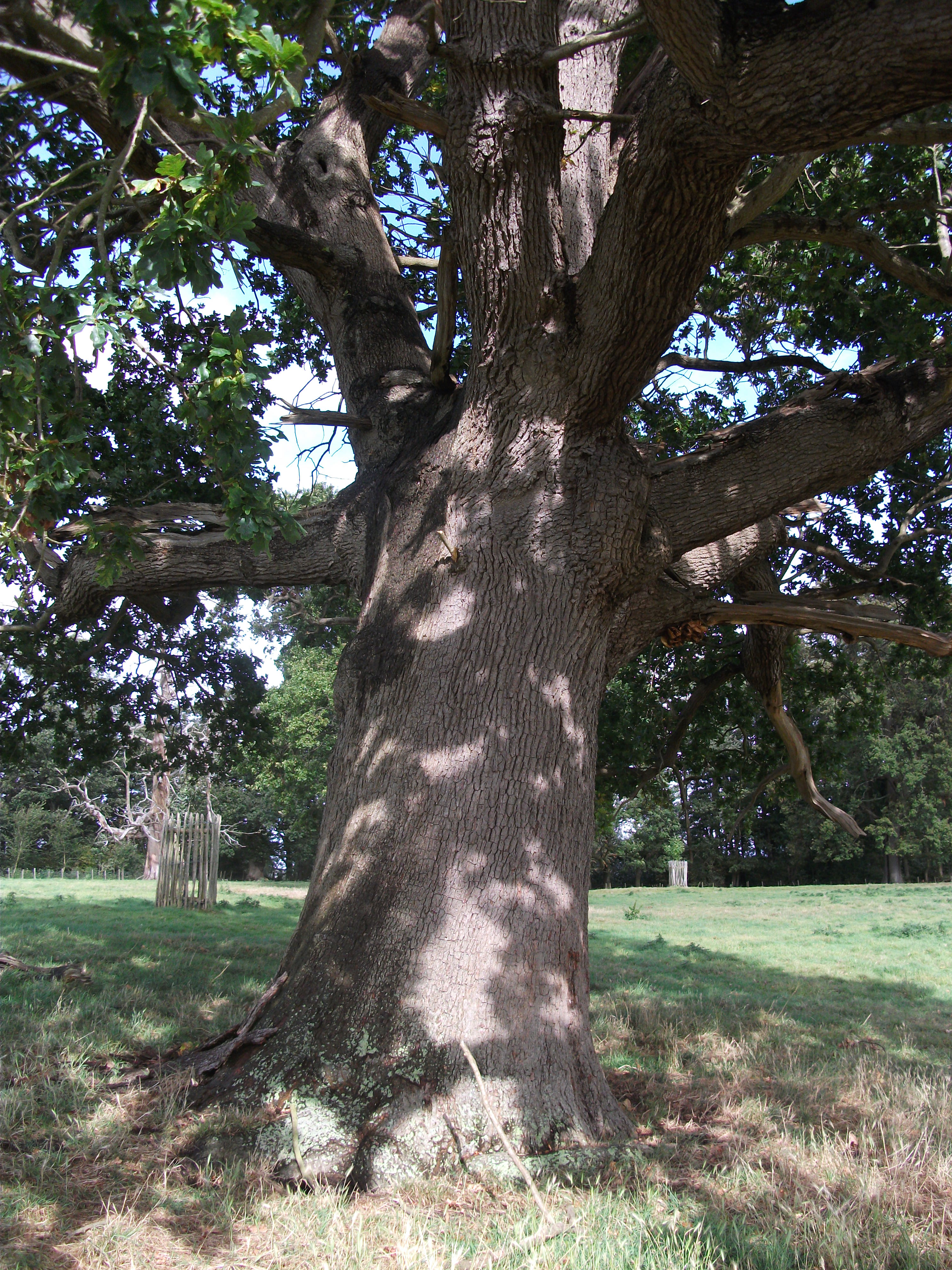 dscf0322