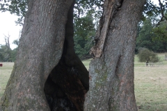 dscf0345