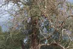 dscf0350