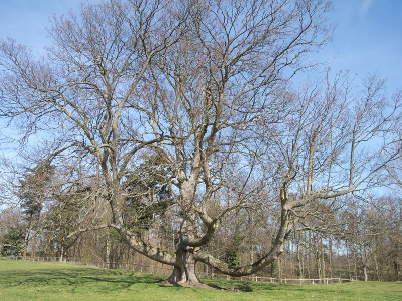 dscn0874-3
