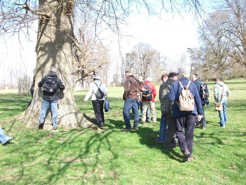 heritage-tree-surveyors-workshop-march-2012-111