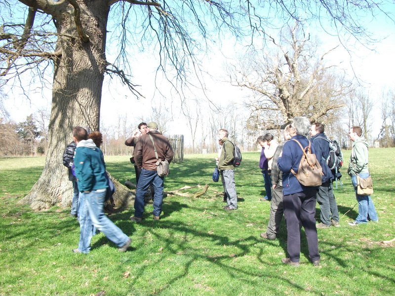 heritage-tree-surveyors-workshop-march-2012-112