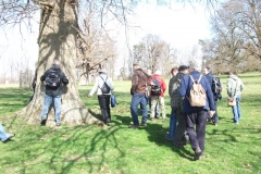 heritage-tree-surveyors-workshop-march-2012-111