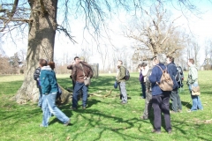 heritage-tree-surveyors-workshop-march-2012-112