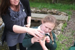 ponds-yr2-036