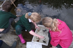 ponds-yr2-037