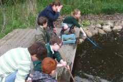 ponds-yr2-038