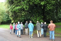 mote-park-guided-walk-june-2012-075