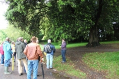 mote-park-guided-walk-june-2012-076