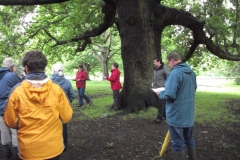 mote-park-guided-walk-june-2012-077