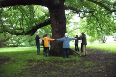 mote-park-guided-walk-june-2012-078