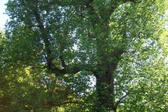 dscf0177