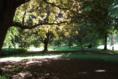 dscf0182