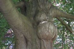 dscf0183