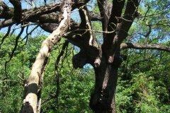 dscf0186