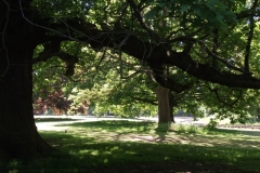 dscf0187