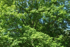 dscf0192