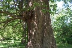 dscf0194