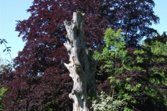 dscf0195
