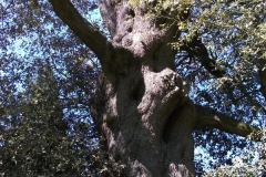 dscf0196