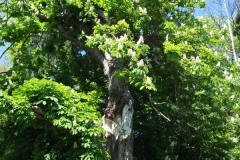 dscf0198