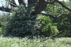dscf0201