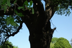 dscf0202