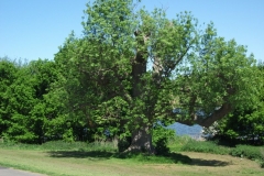 dscf0205
