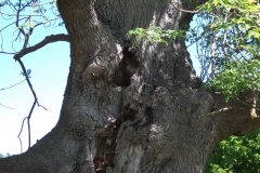 dscf0206