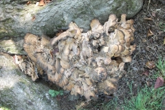 dscf0461