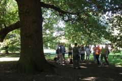 dscf0463