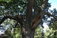 dscf0470