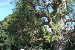 dscf0472