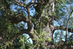 dscf0473