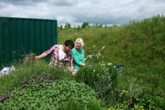vegetable-and-herb-growing-event-002
