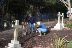 hythe-st-leonards-church-tree-and-hedge-planting-002