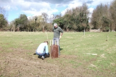 standen-community-orchard-apple-tree-planting-002