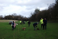 culverstone-tree-planting-001