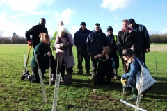 culverstone-tree-planting-003