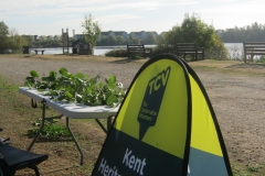 Leybourne Lake Tree Trail Launch view