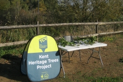 Leybourne Lakes Tree Trail Launchstand