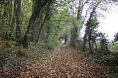 photo-12-11-2011-15-25-41