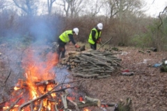 Fire-looking-good